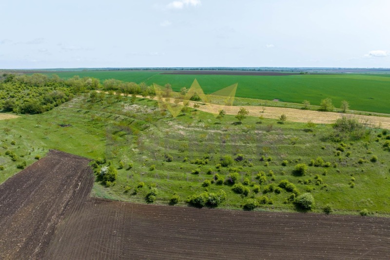 Till salu  Landa region Dobrich , Telerig , 20 dka | 92196169