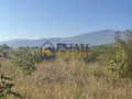 Продава ПАРЦЕЛ, с. Брестник, област Пловдив, снимка 2