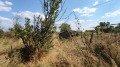 Продава КЪЩА, област Стара Загора, с. Трънково • 31990 € • 15022255 11
