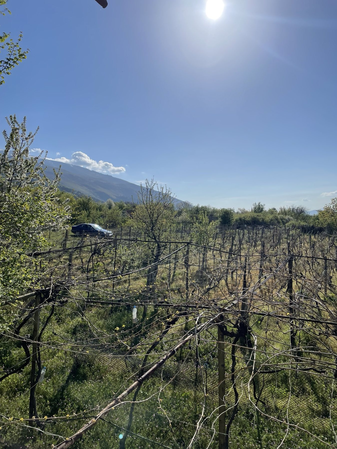 ������� ���� | Imot.bg � ����������� 2