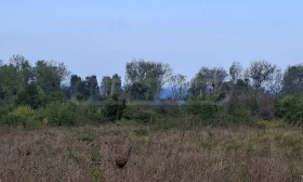 ������� ������ | Imot.bg � ����� ������ 6