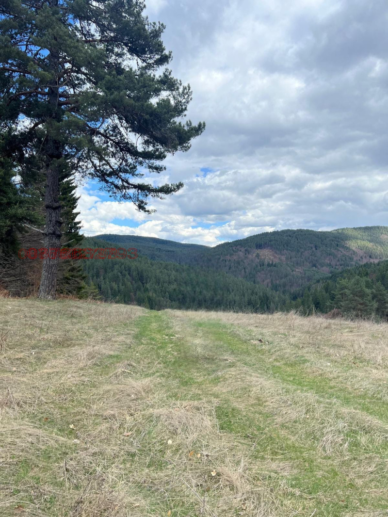 Na prodej  Spiknutí oblast Blagoevgrad , Satovča , 2700 m2 | 11805154 - obraz [5]