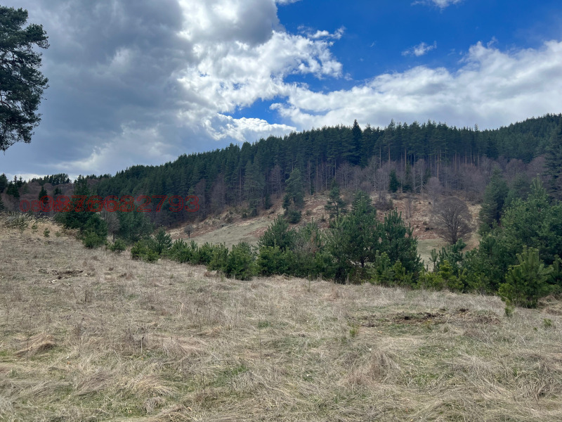 Na prodej  Spiknutí oblast Blagoevgrad , Satovča , 2700 m2 | 11805154 - obraz [2]