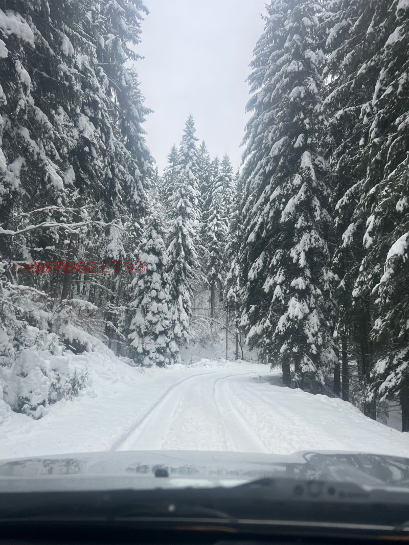 Na prodej  Spiknutí oblast Blagoevgrad , Satovča , 2700 m2 | 11805154 - obraz [7]