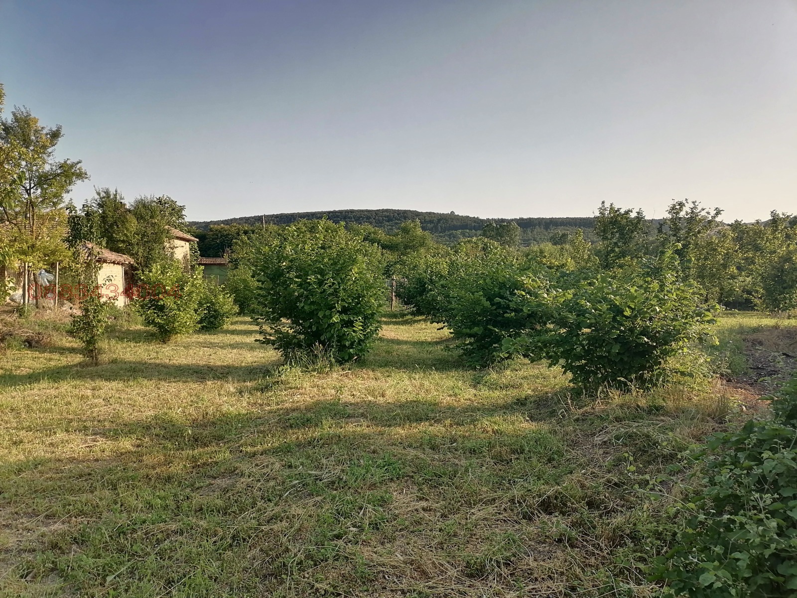 Продава КЪЩА, с. Садина, област Търговище, снимка 6 - Къщи - 54978237