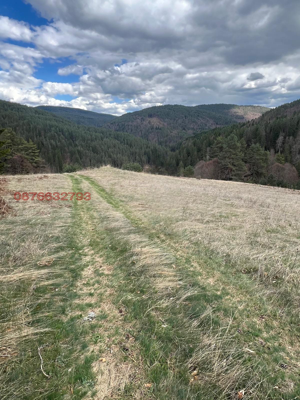 Продава ПАРЦЕЛ, с. Сатовча, област Благоевград, снимка 4 - Парцели - 53642288