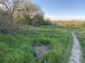 Продава ПАРЦЕЛ, гр. Козлодуй, област Враца, снимка 5