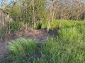 Продава ПАРЦЕЛ, гр. Козлодуй, област Враца, снимка 6