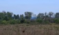 Продава ПАРЦЕЛ, област Бургас, гр. Созопол • 88010 € / 172132.60 лв. • 93030171 6