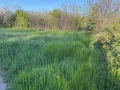 Продава ПАРЦЕЛ, област Враца, гр. Козлодуй • 19000 € / 37160.77 лв. • 82734104 1