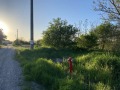 Продава ПАРЦЕЛ, област Враца, гр. Козлодуй • 19000 € / 37160.77 лв. • 82734104 3