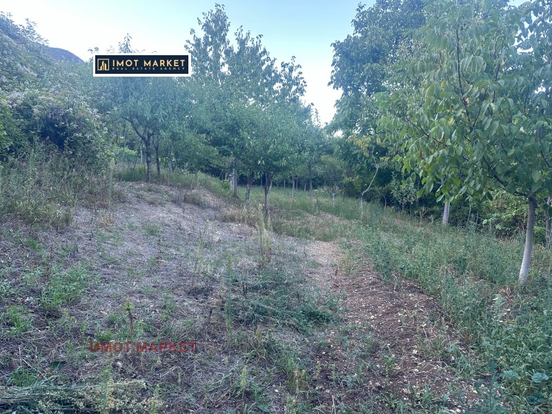 Продава ПАРЦЕЛ, област Враца, с. Паволче • 79900 лв. / 40852.22 € • 86908393 1