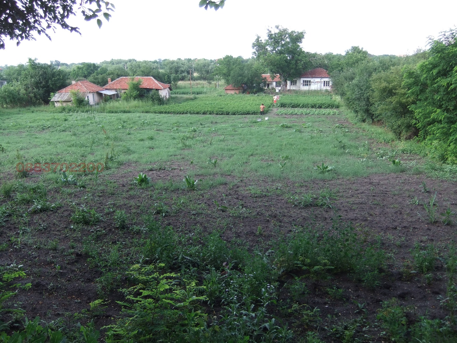 Продава КЪЩА, с. Пъстрен, област Стара Загора