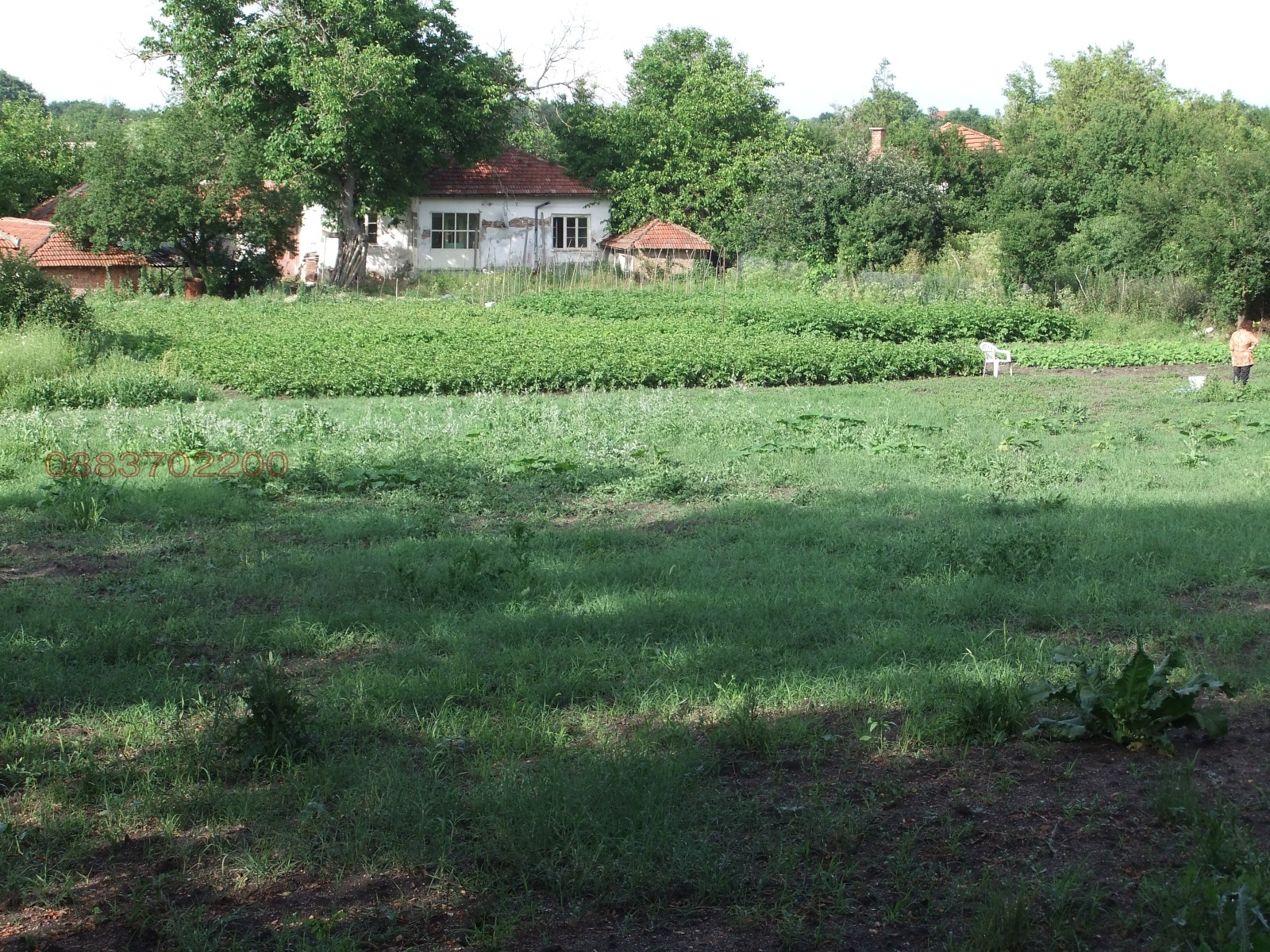 Продава КЪЩА, с. Пъстрен, област Стара Загора, снимка 5 - Къщи - 53965451