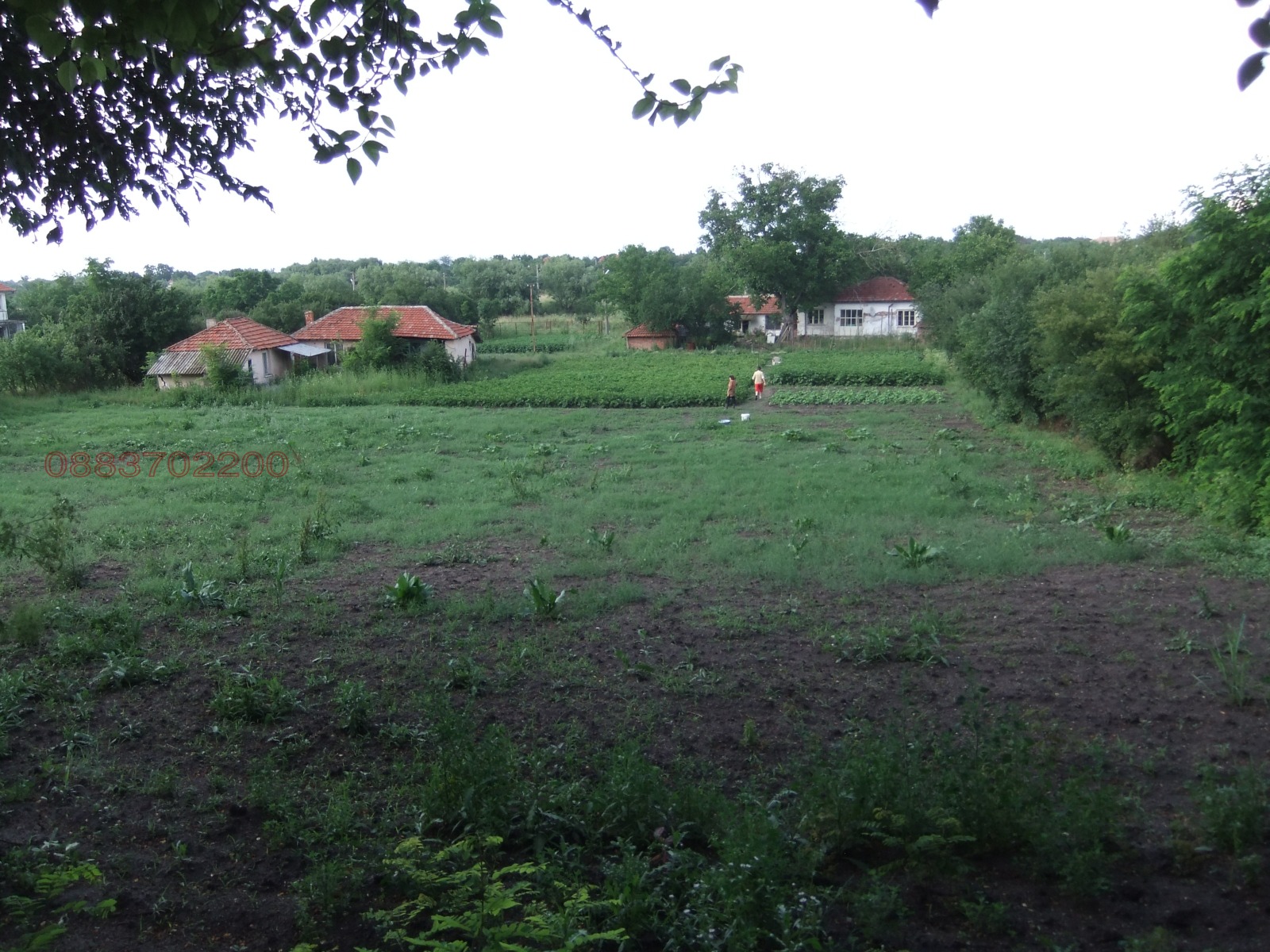 Продава КЪЩА, с. Пъстрен, област Стара Загора, снимка 3 - Къщи - 53965451