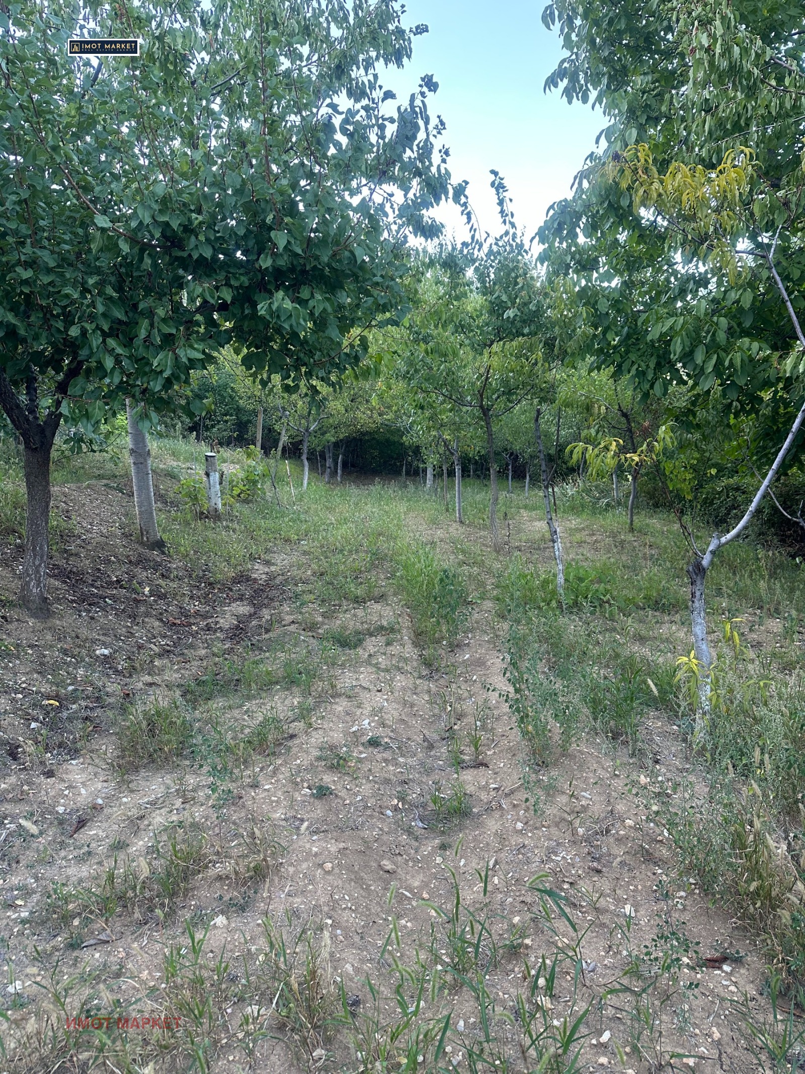 Продава ПАРЦЕЛ, с. Паволче, област Враца, снимка 2 - Парцели - 52188213