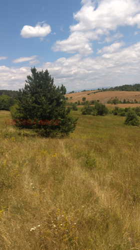 ПАРЦЕЛ, 3 500 m2
