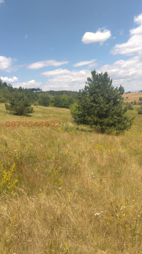 ������� ������ | Imot.bg � ����� ������ 2