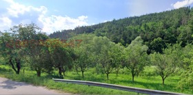 Landa Terziisko, region Lovech