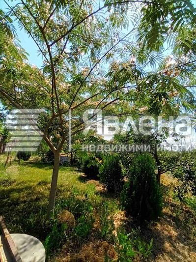 Продава КЪЩА, с. Ветрино, област Варна, снимка 8 - Къщи - 53170842