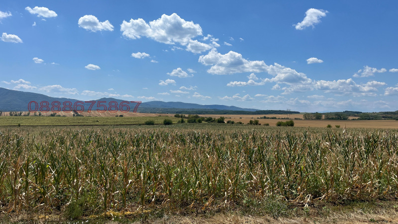 Продава ПАРЦЕЛ, с. Церова кория, област Велико Търново, снимка 3 - Парцели - 52778993