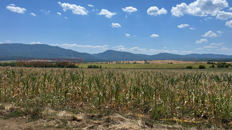 Продава ПАРЦЕЛ, с. Церова кория, област Велико Търново, снимка 4 - Парцели - 52778993