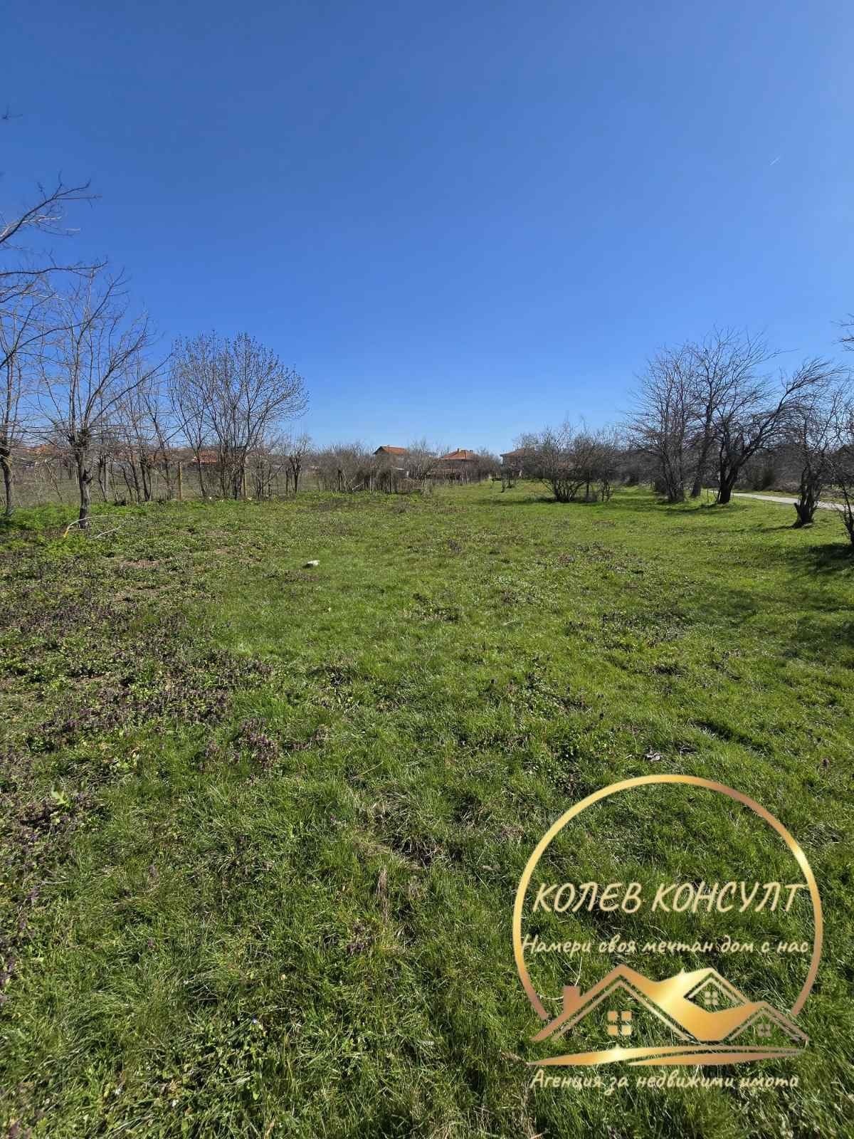 Продава КЪЩА, с. Свирково, област Хасково, снимка 4 - Къщи - 53830818