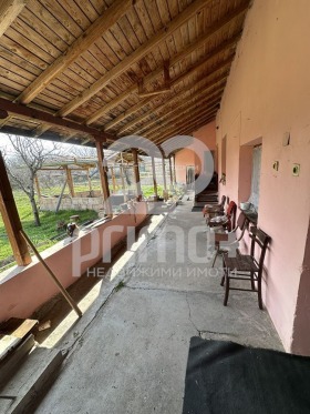 ����� ������� ����,�. ������, ������ ������ �������