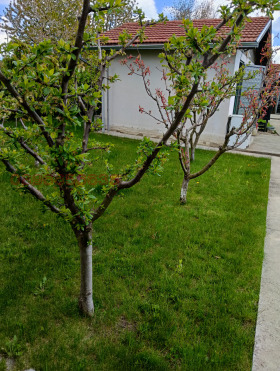 ������� ���� | Imot.bg � ����� ������ 7