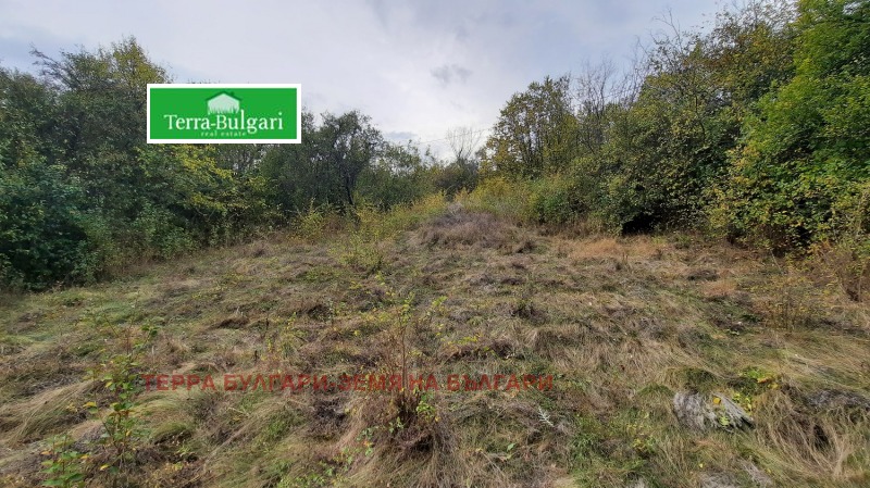 Продава ПАРЦЕЛ в област Перник, с. Черна гора - 550 кв.м / 9 458.90 € » 18 500 лв., ТЕРРА БУЛГАРИ-ЗЕМЯ НА БЪЛГАРИ