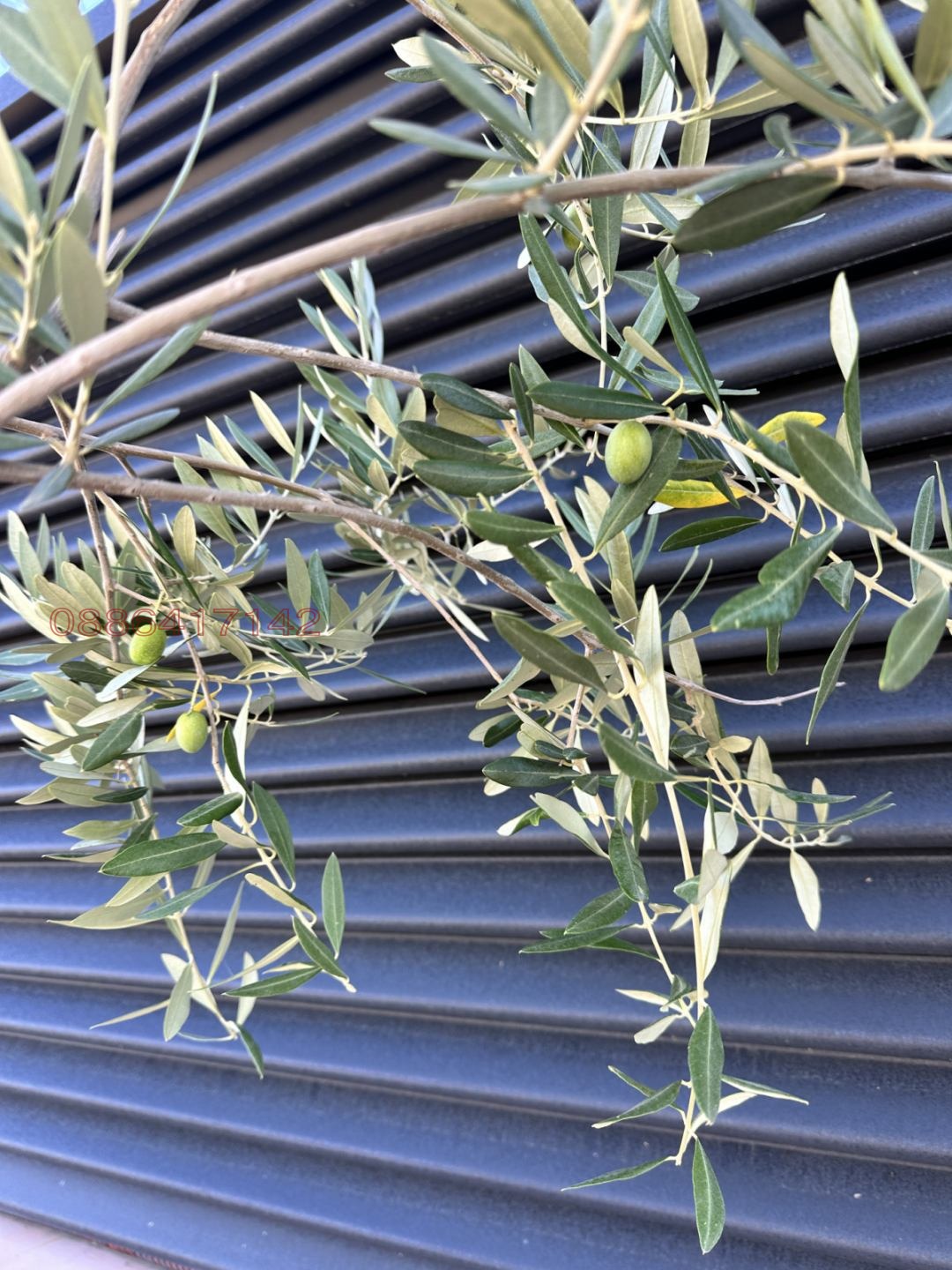 ������� ������ | Imot.bg � ����������� 12