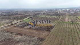 ����� ������� ������,�. ���������, ������ �������