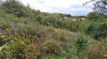 Продава ПАРЦЕЛ, с. Черна гора, област Перник, снимка 11