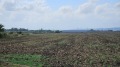Продава  Парцел град Бургас , Мадика , 10201 кв.м | 82380575