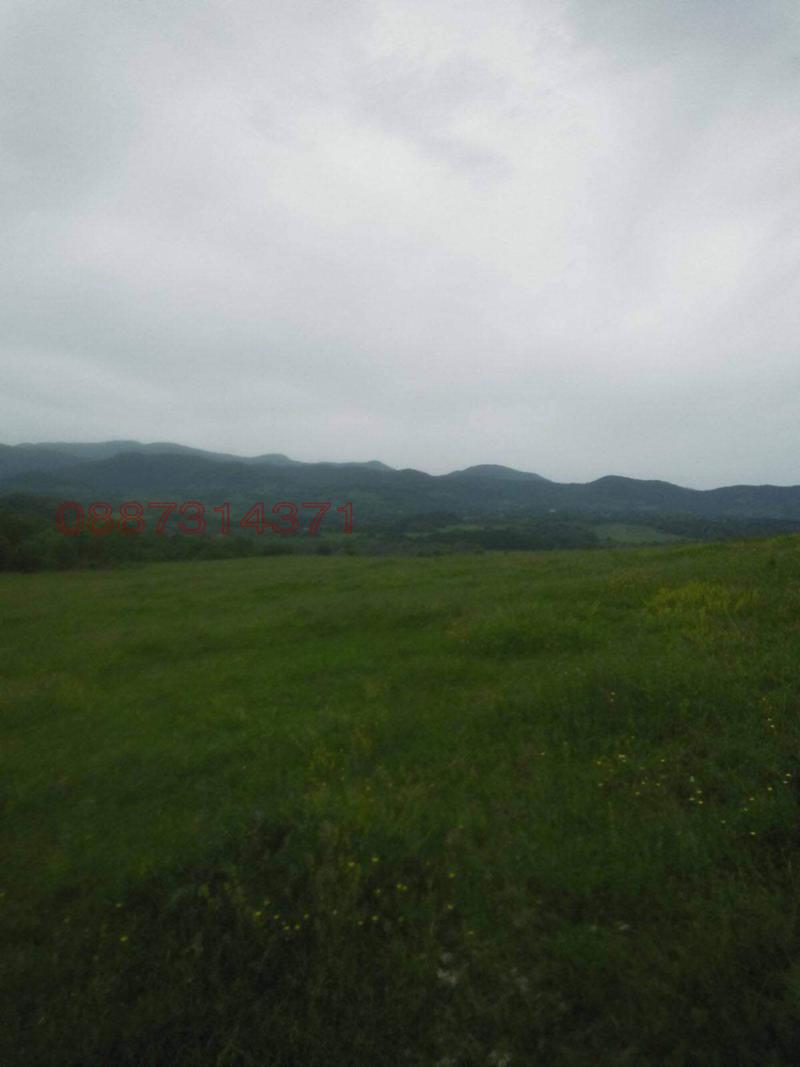 Продава КЪЩА, с. Голяма Желязна, област Ловеч, снимка 5 - Къщи - 52987188