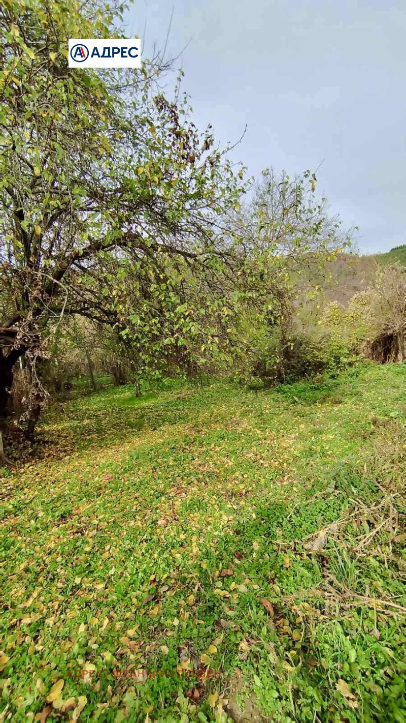 Продава КЪЩА, с. Терзийско, област Ловеч, снимка 13 - Къщи - 52600537