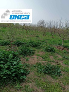 Plot Obnova, region Pleven 3