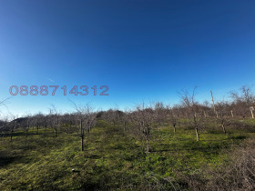 ������� ������ | Imot.bg � ����� ������ 2