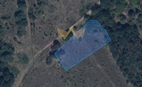 ����� ������� ������,�. ��������, ������ �����