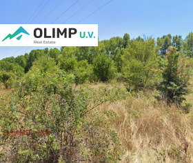 ������� ������ | Imot.bg � ����� ������ 7