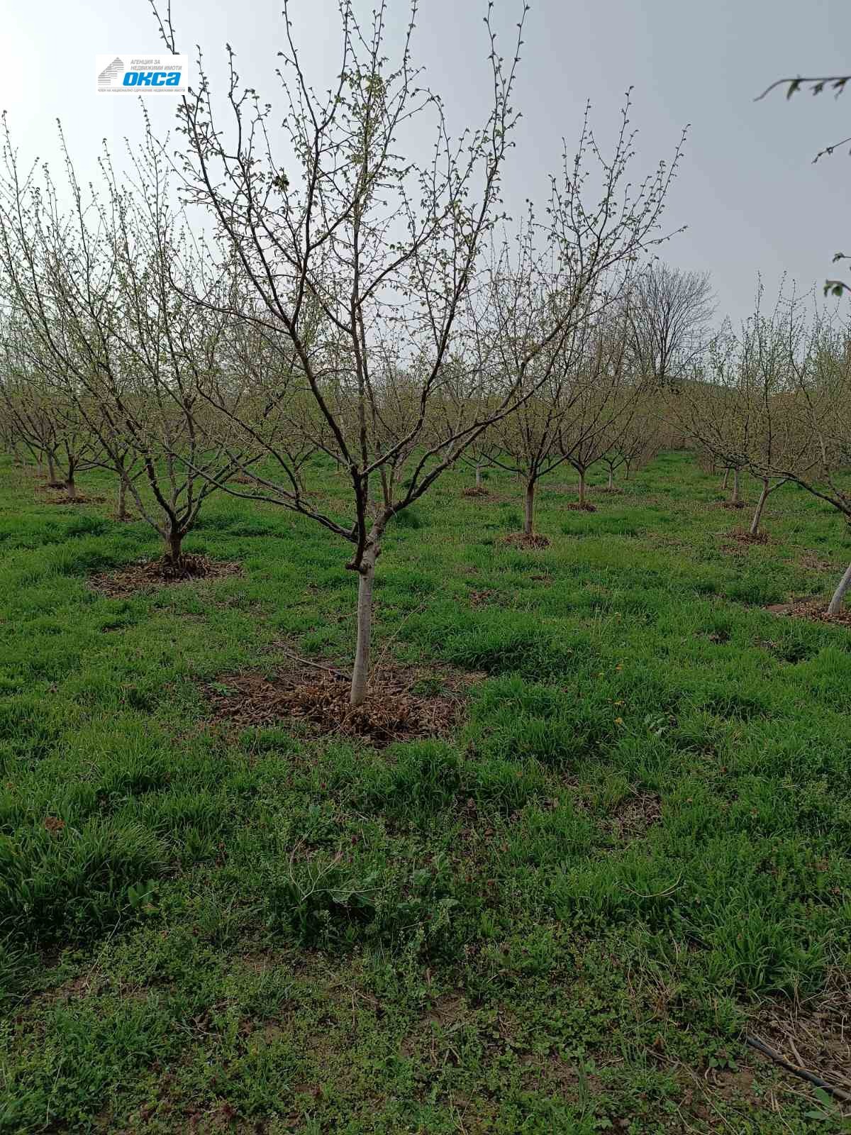 Продава ПАРЦЕЛ, с. Обнова, област Плевен, снимка 2 - Парцели - 47201381