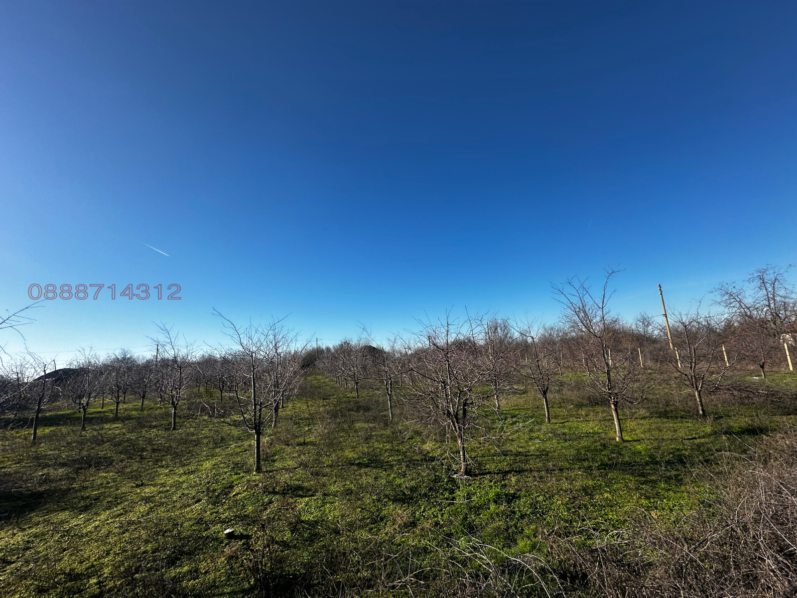 Продава ПАРЦЕЛ, с. Обнова, област Плевен, снимка 2 - Парцели - 54304503