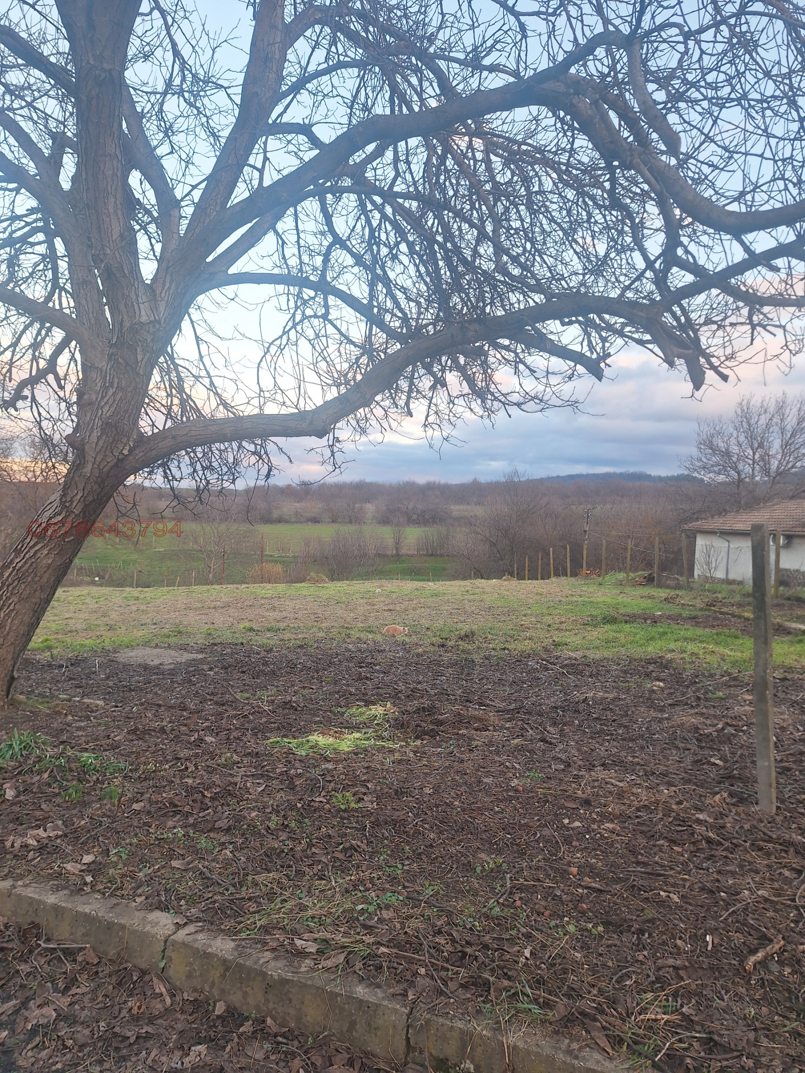 Продава ПАРЦЕЛ, с. Мерданя, област Велико Търново