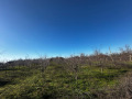 Продава ПАРЦЕЛ, с. Обнова, област Плевен, снимка 2