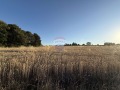 Продава ЗЕМЕДЕЛСКА ЗЕМЯ, гр. Варна, м-т Перчемлията, снимка 2