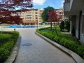 Продава 1-СТАЕН, област Бургас, к.к. Слънчев бряг • 58000 € / 113438.14 лв. • 19703868 10