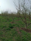 Продава ПАРЦЕЛ, област Плевен, с. Обнова • 19000 лв. • 87302808 — Holmes.bg