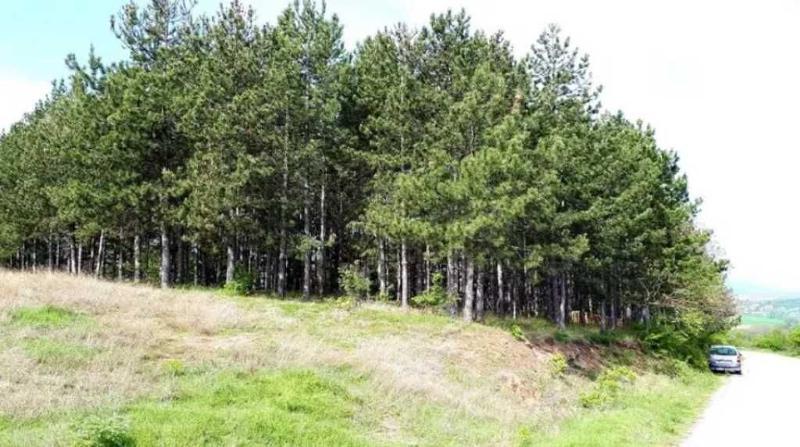 ������� ���� �� ���� | Imot.bg � ����������� 14