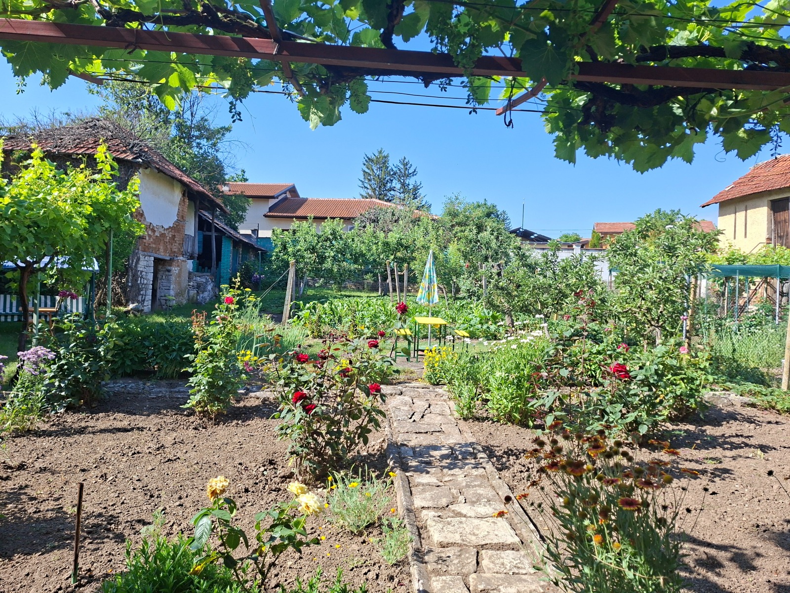 ������� ���� | Imot.bg � ����������� 17