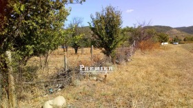 Plot Goritsa, region Burgas 2